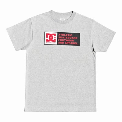 DC Density Zone Men's Grey T-Shirt Australia SHU-520